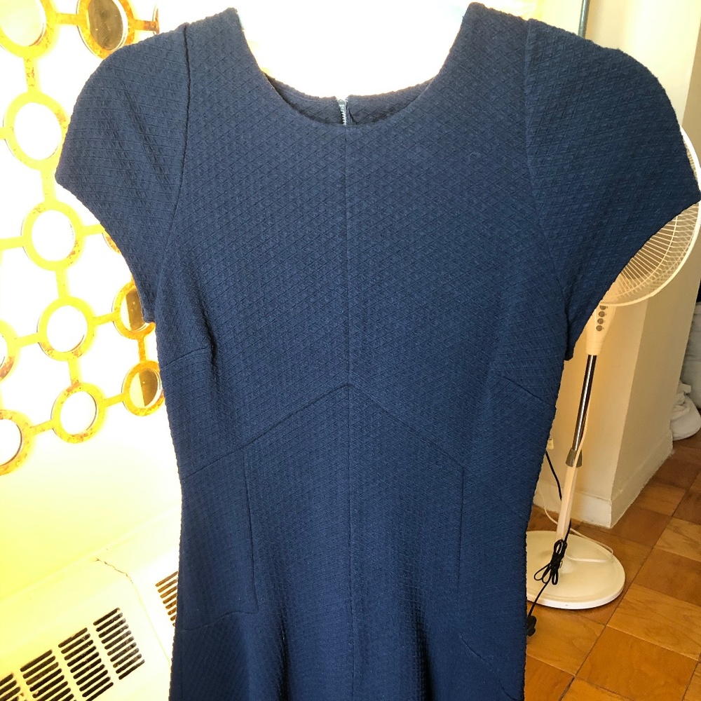 Banana Republic Fit and Flare Dress